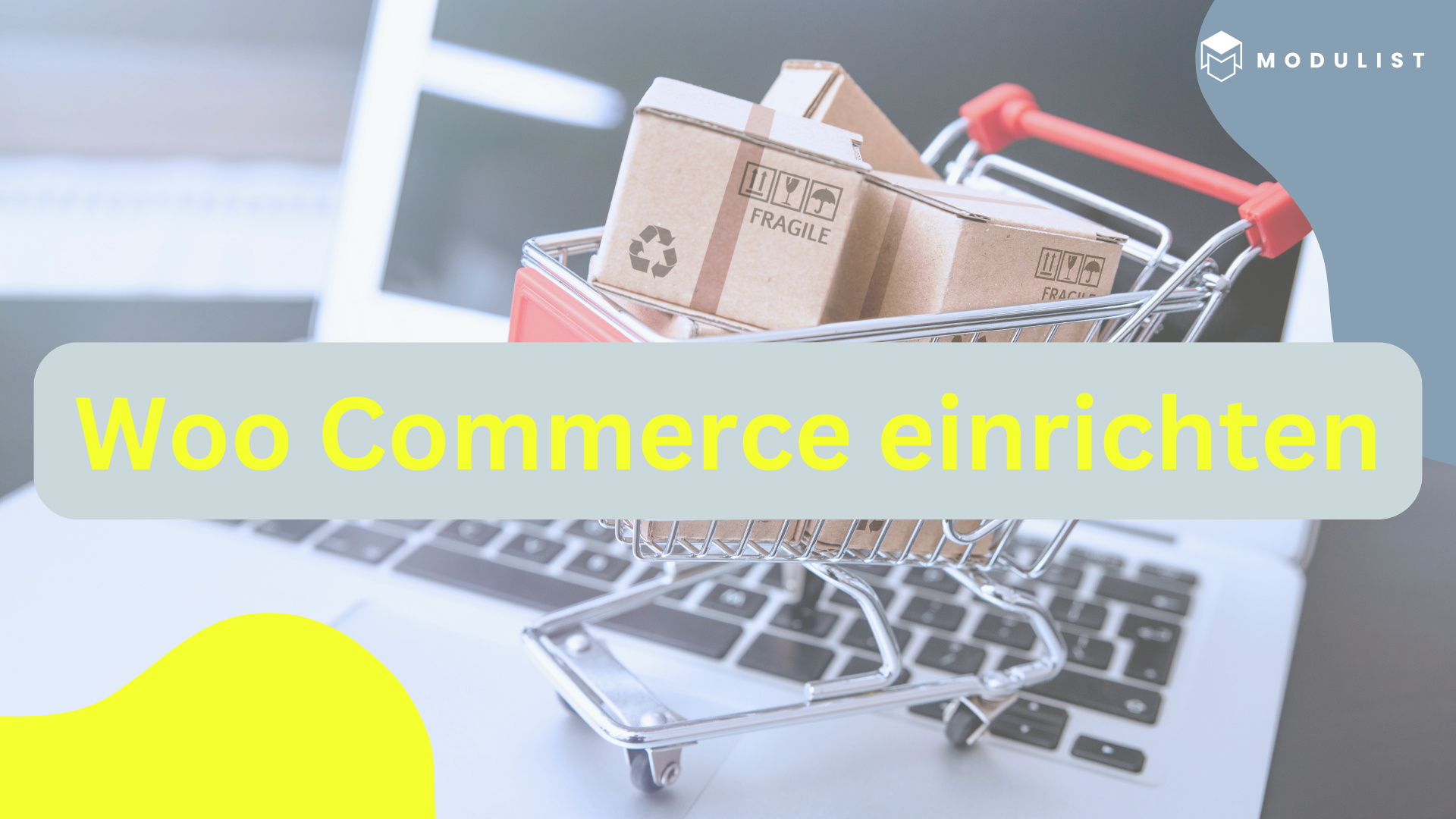 Woo Commerce Header