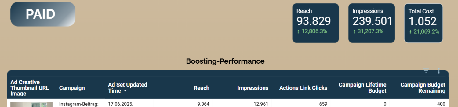 Social Media ads Kampagnenanalyse