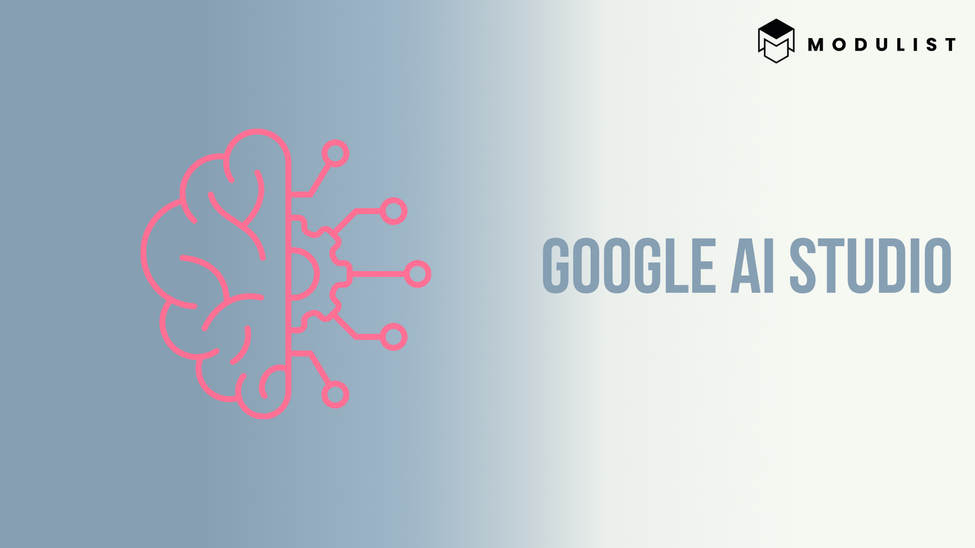 Header Brain-Icon Google Asset Studio